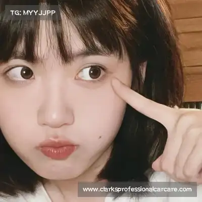 成菲笛